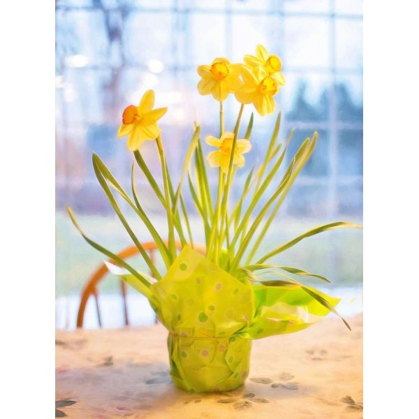 Narcissen met Pasen