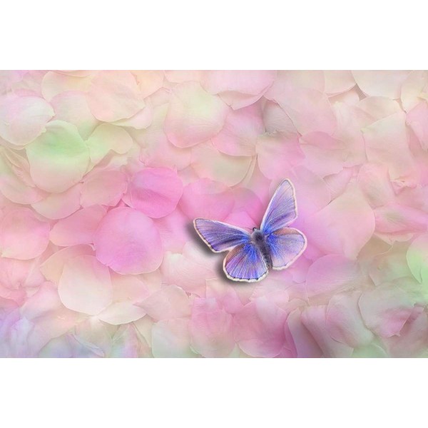 Vlinder op Rozenblaadjes