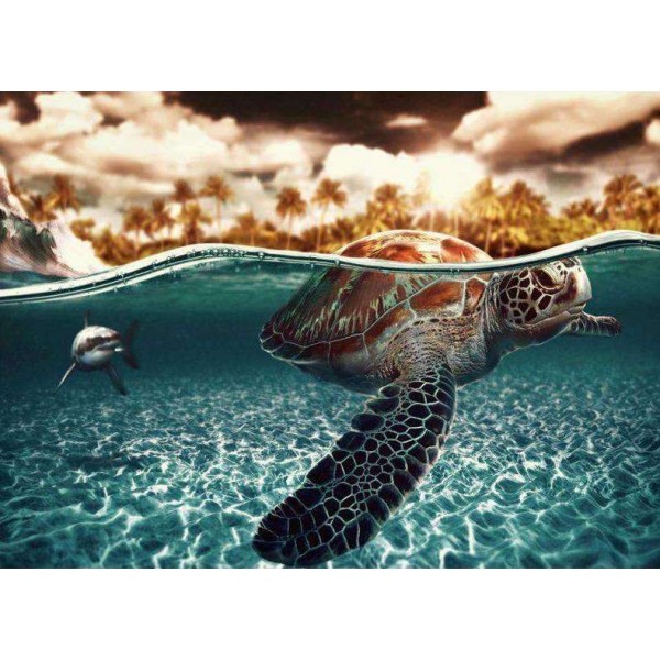 Schildpad in het Water