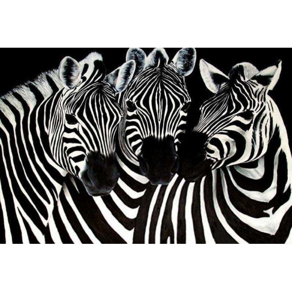 De Drie Zebra's