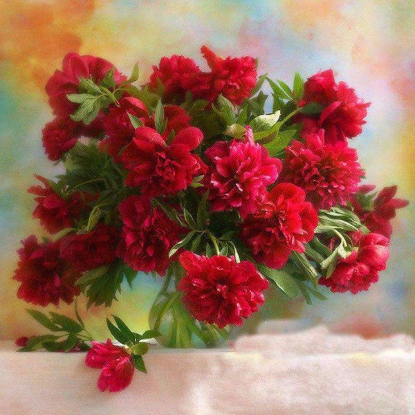 Kunstige Rode Bloemen