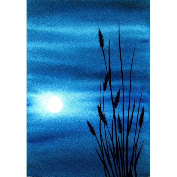 Maanlicht Reflectie bij Nacht