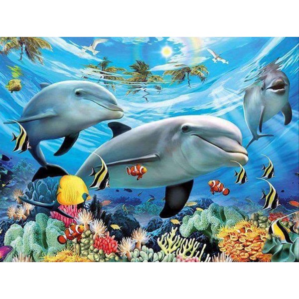 Dolfijnen in de Oceaan