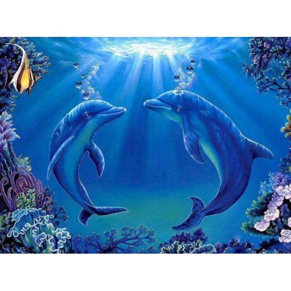 Dolfijnen met Zonnestralen
