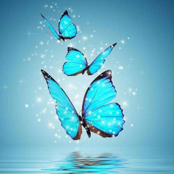 Blauwe Vlinders uit het Water
