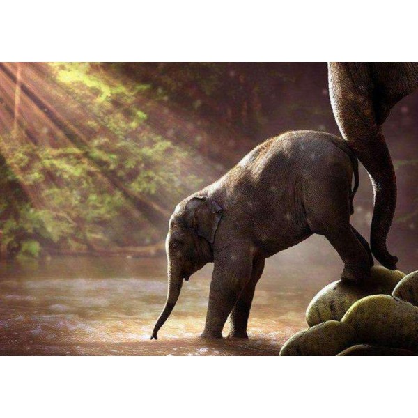 Olifantje in het Water