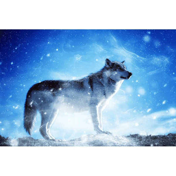 Wolf in de Sneeuw