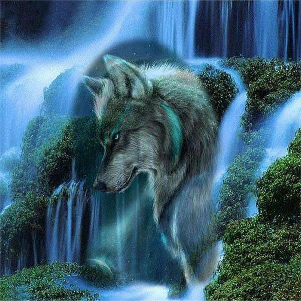 Wolf bij een Waterval