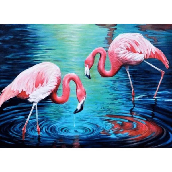 Flamingos in het Water
