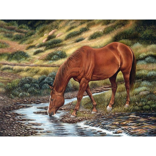 Bruin Paard Water