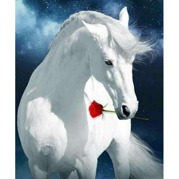 Wit Paard met Rode Roos