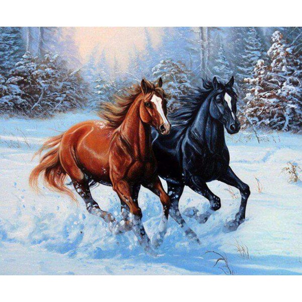 Paarden Rennen in de Sneeuw