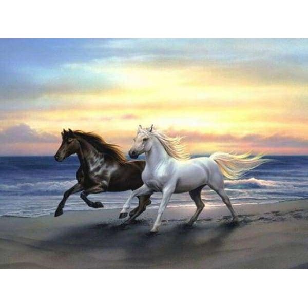 Paarden Rennen op het Strand