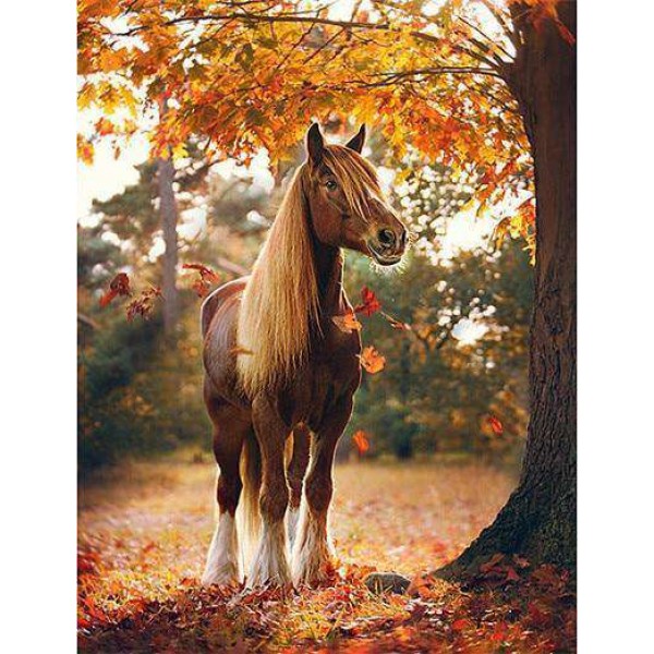 Het Bruine Paard in de Herfst