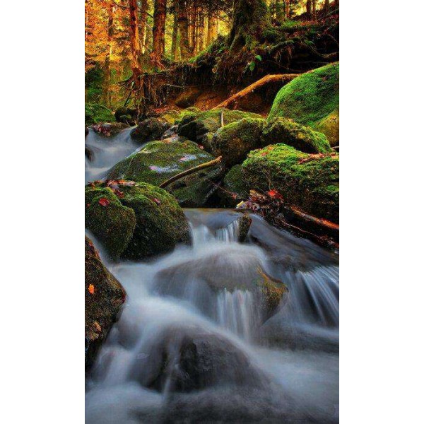 Water in Herfst Sfeer