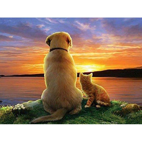 Hond en Kat bij Zonsondergang