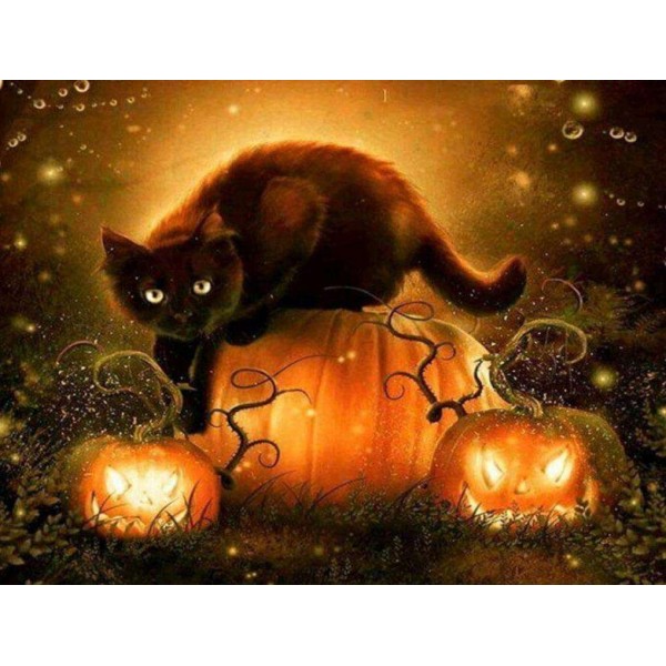 Halloween Kat