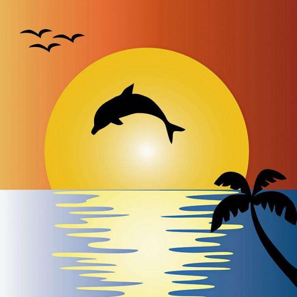 Vrolijke Dolfijn in de Zon