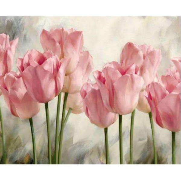 Tulpen Roze