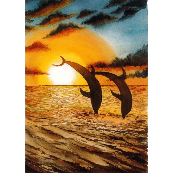 Dolfijnen spelen bij zonsondergang