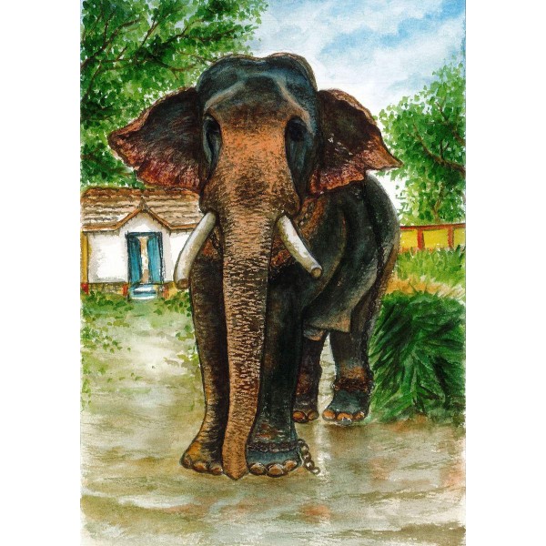 Portret van olifant