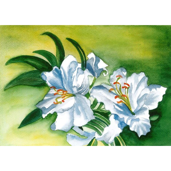 Witte bloemen en groene bladeren